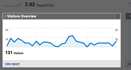 Visitor overview graph highlighted