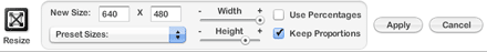 Resizing functions on FotoFlexer.com