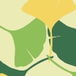 patterns